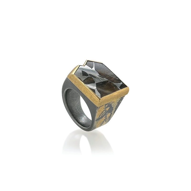 Meteorite Ring